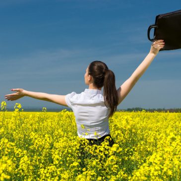 Une rentrée sereine avec les fleurs de Bach !