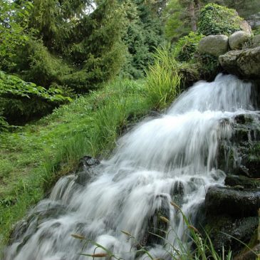 Renforcer ses défenses naturellement