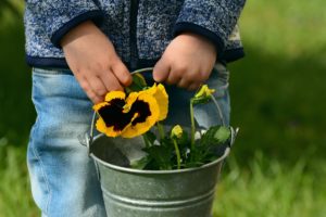 ateleir fleurs de bach enfants