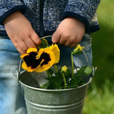 Atelier fleurs de Bach enfants